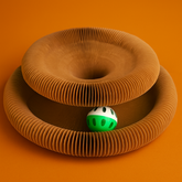 Accordion Magic Organ Cat