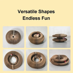 Accordion Magic Organ Cat