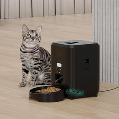 Smart Pet Feeder Automatische