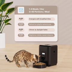 Smart Pet Feeder Automatische