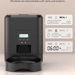 Smart Pet Feeder Automatische