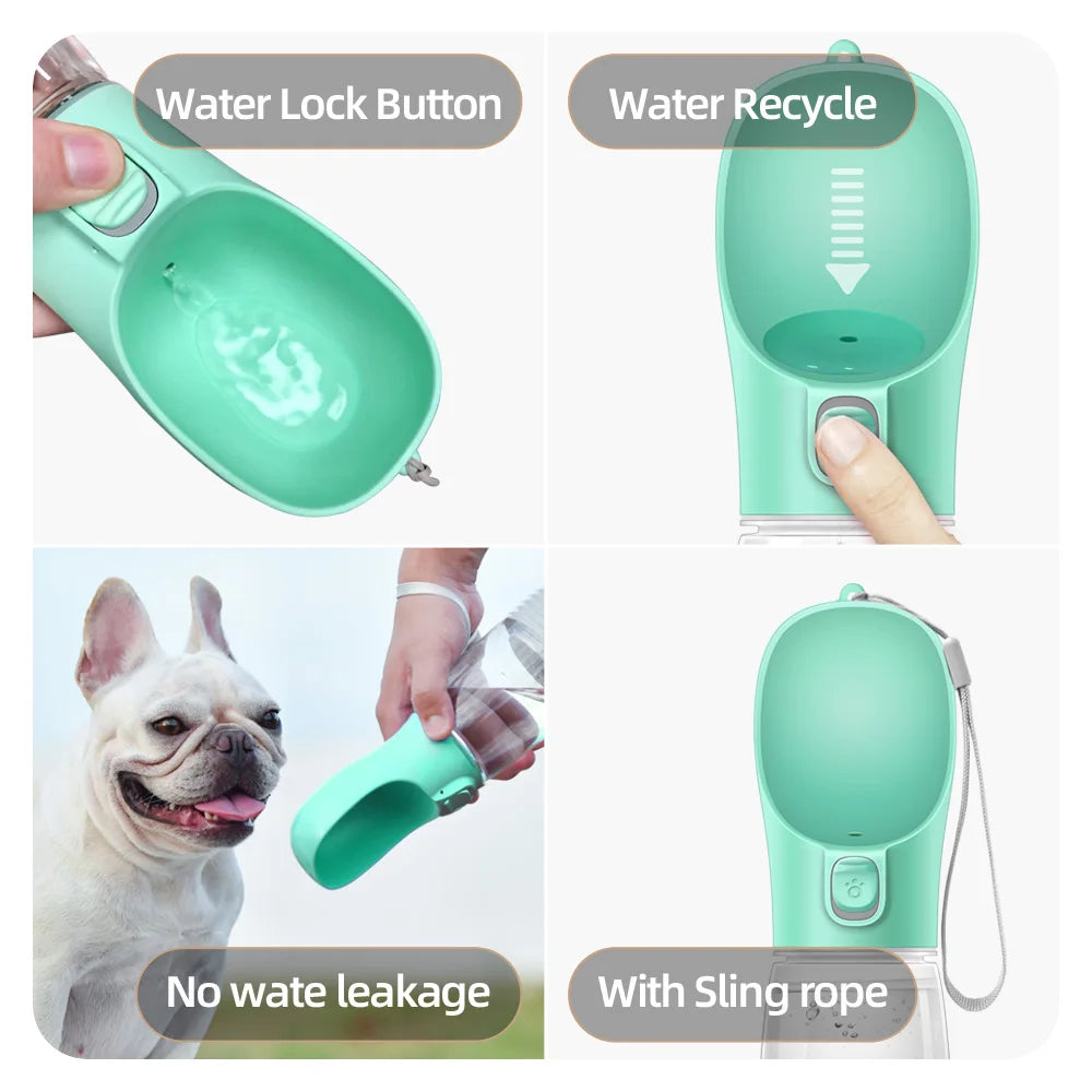 Water Bottle for Walking
