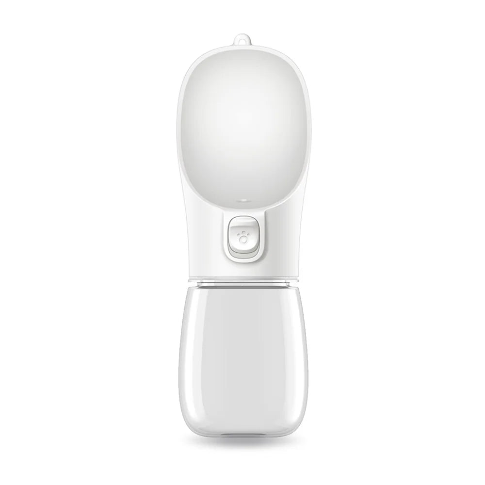 Water Bottle for Walking