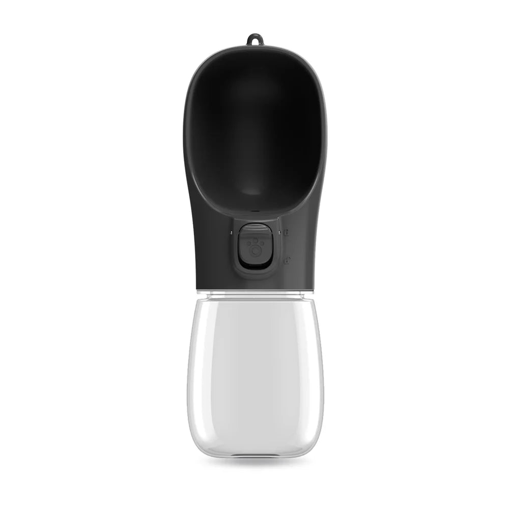 Water Bottle for Walking