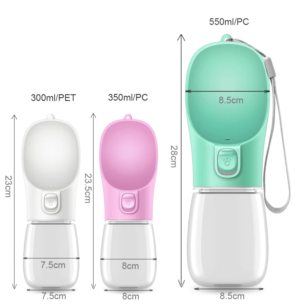 Water Bottle for Walking