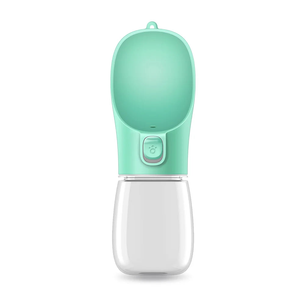 Water Bottle for Walking