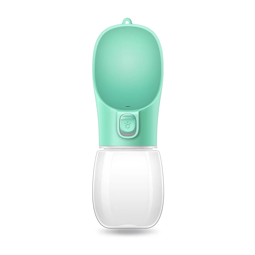 Water Bottle for Walking
