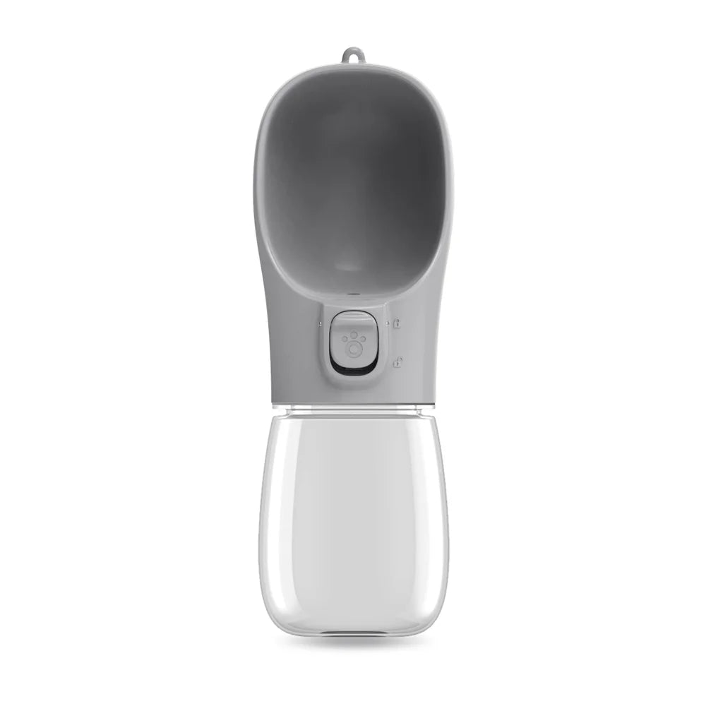 Water Bottle for Walking