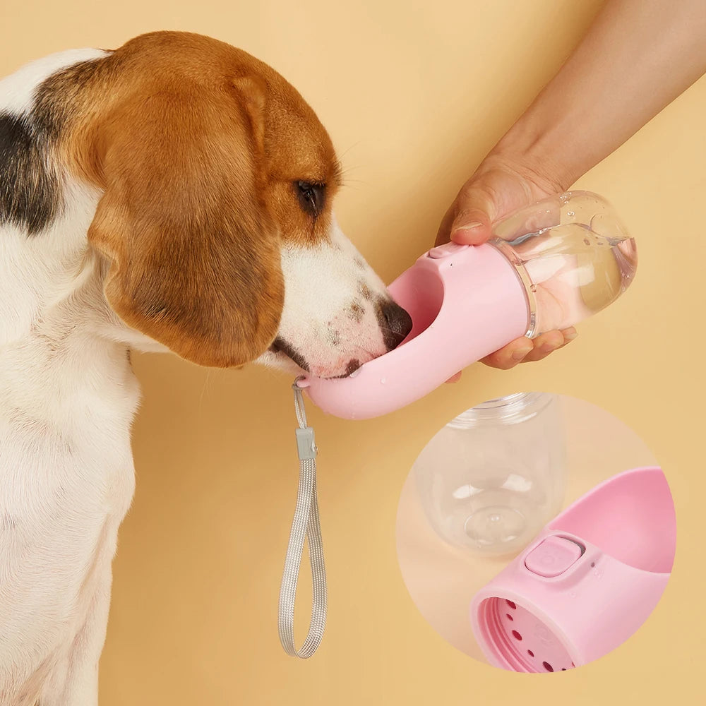 Water Bottle for Walking