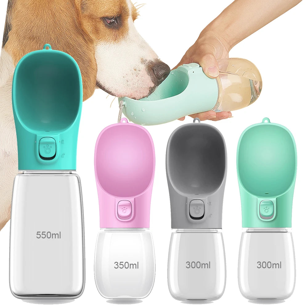 Water Bottle for Walking