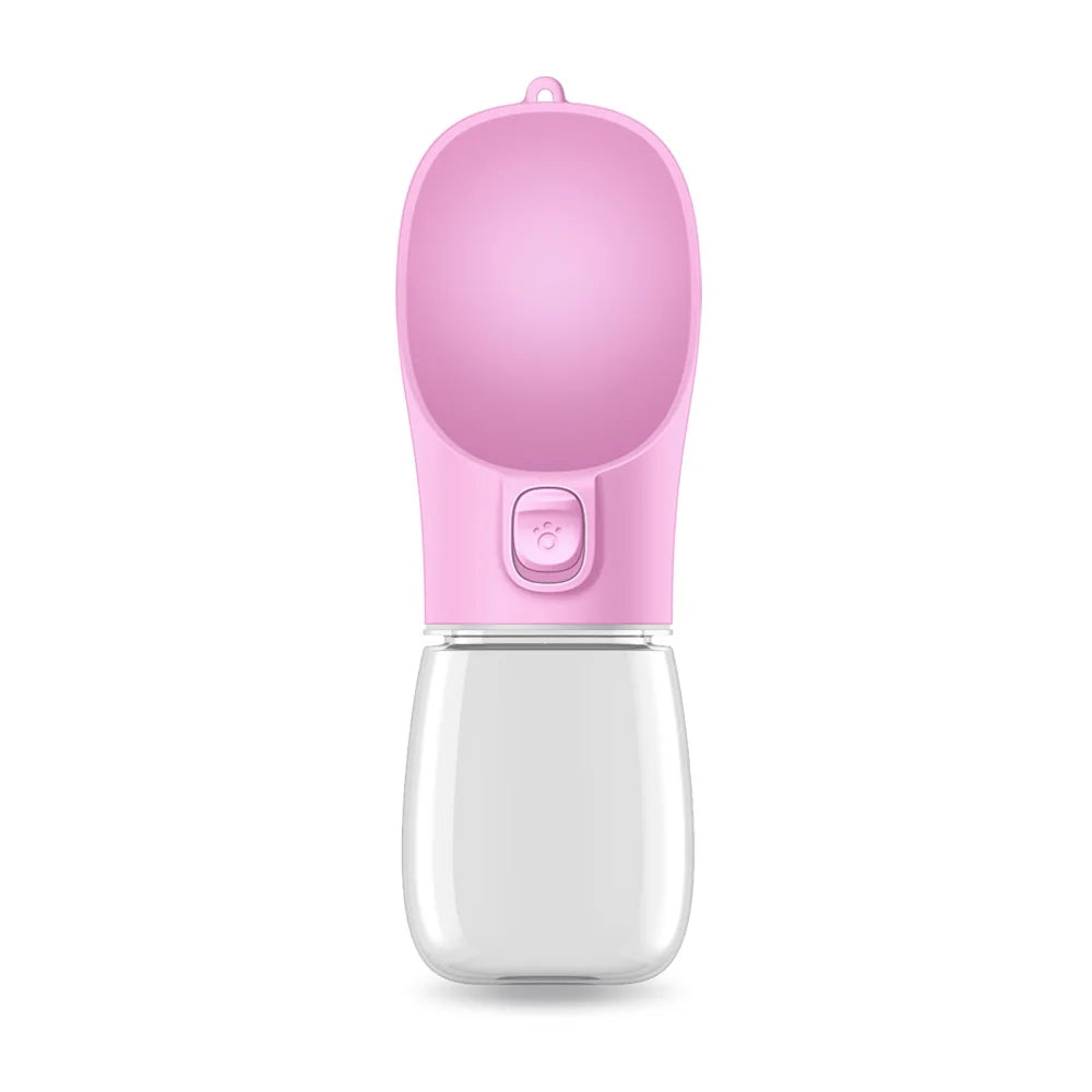 Water Bottle for Walking